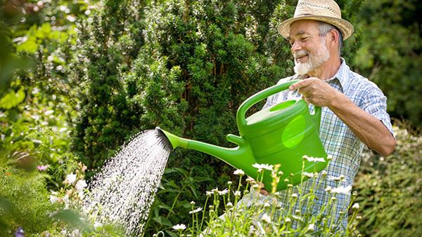 retiree watering their garden